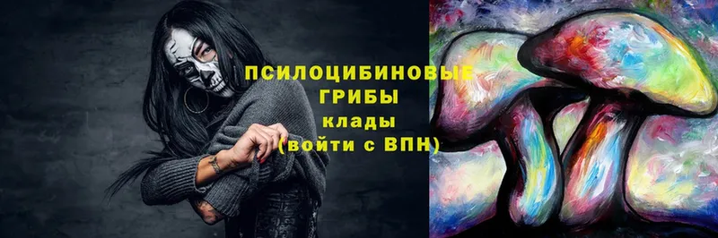 blacksprut ТОР  наркота  Алзамай  Галлюциногенные грибы ЛСД 